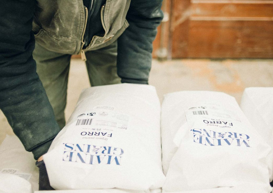 Maine Grains